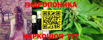 mdma Кандалакша