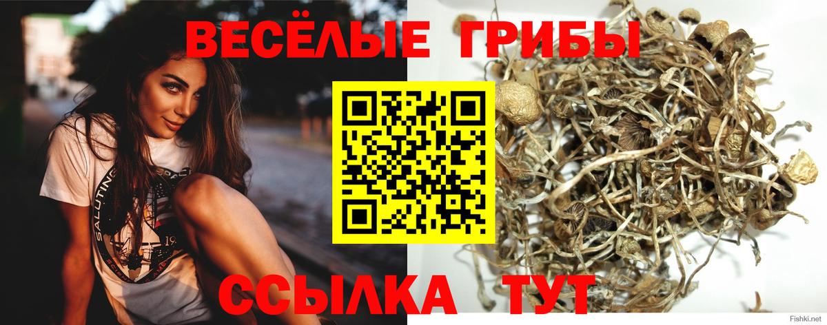Псилоцибиновые грибы ЛСД  Псилоцибиновые грибы Psilocybine cubensis  Златоуст  Вход с VPN 